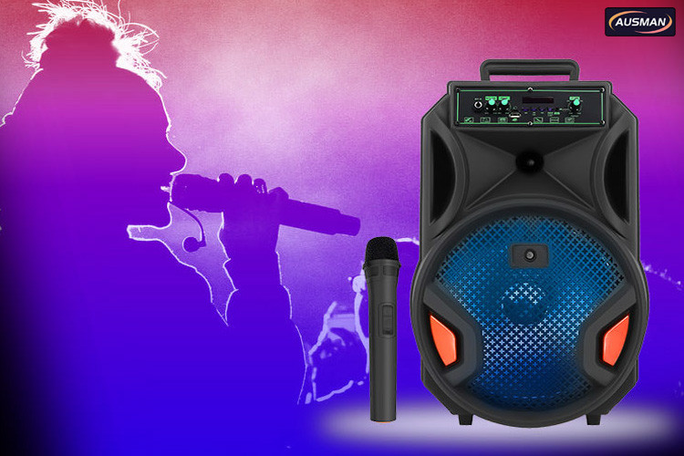 portable karaoke trolley speaker with microphone  