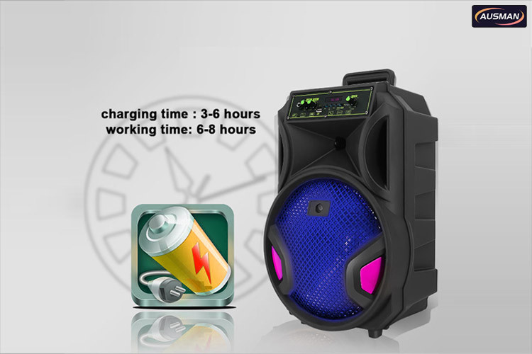 portable speaker with built-in battery
