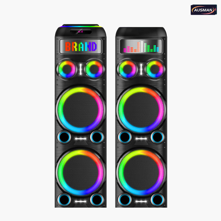 karaoke DJ Speaker System Pair