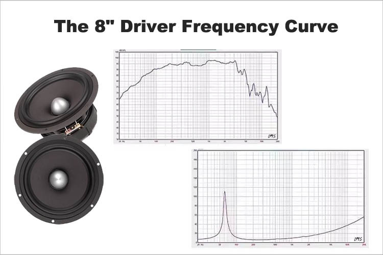 The 8" speaker frequency response curve