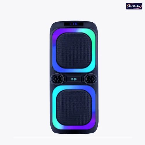Wireless Bluetooth Speaker Made In Factory China