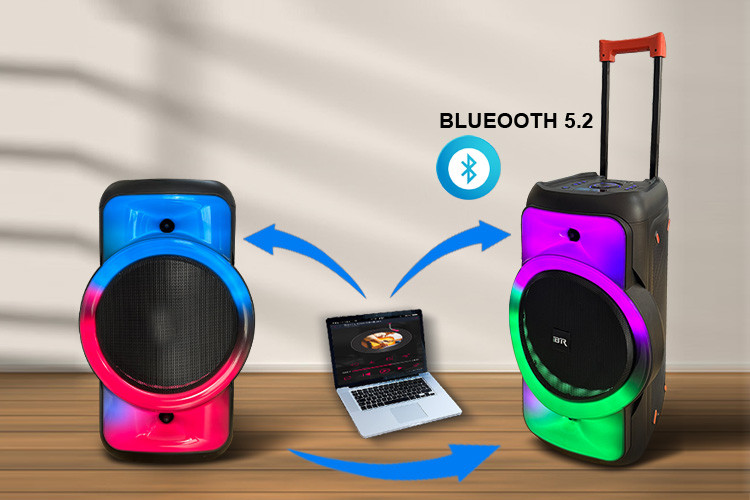 Outdoor Speaker System AS-0813 Bluetooth5.2