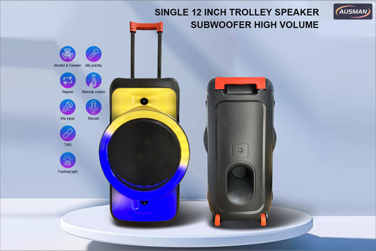 Outdoor Bluetooth Speaker System AS-0813 functions