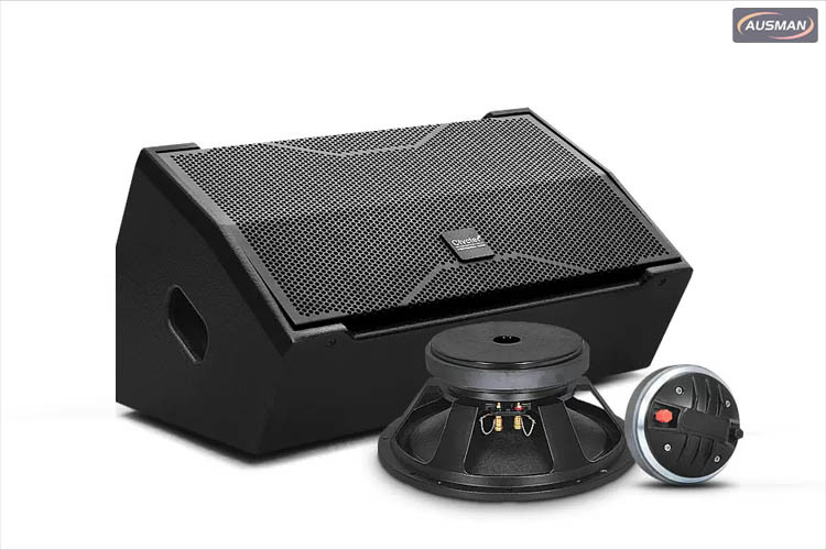 Stage Monitor Speaker