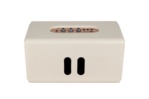 Custom Wireless Portable Retro Speaker Box