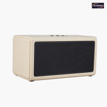 Custom Wireless Portable Retro Speaker Box