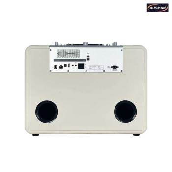 Large Wireless Vintage Looking Bluetooth Speaker Customization