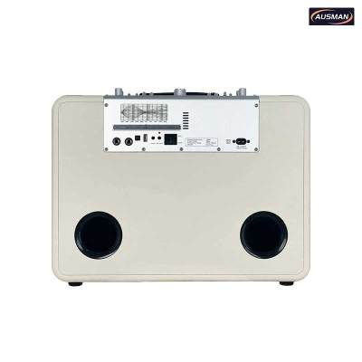 Large Wireless Vintage Looking Bluetooth Speaker Customization