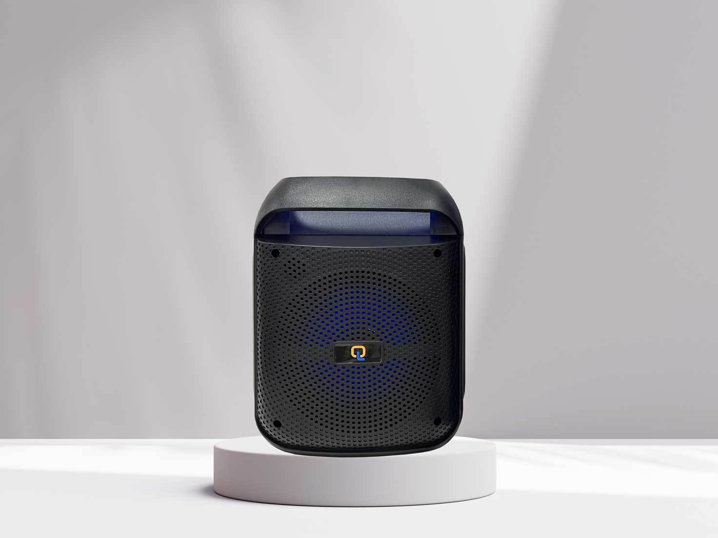 portable wireless speaker