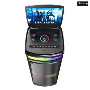 Karaoke Bluetooth Speaker with Built-in Screen