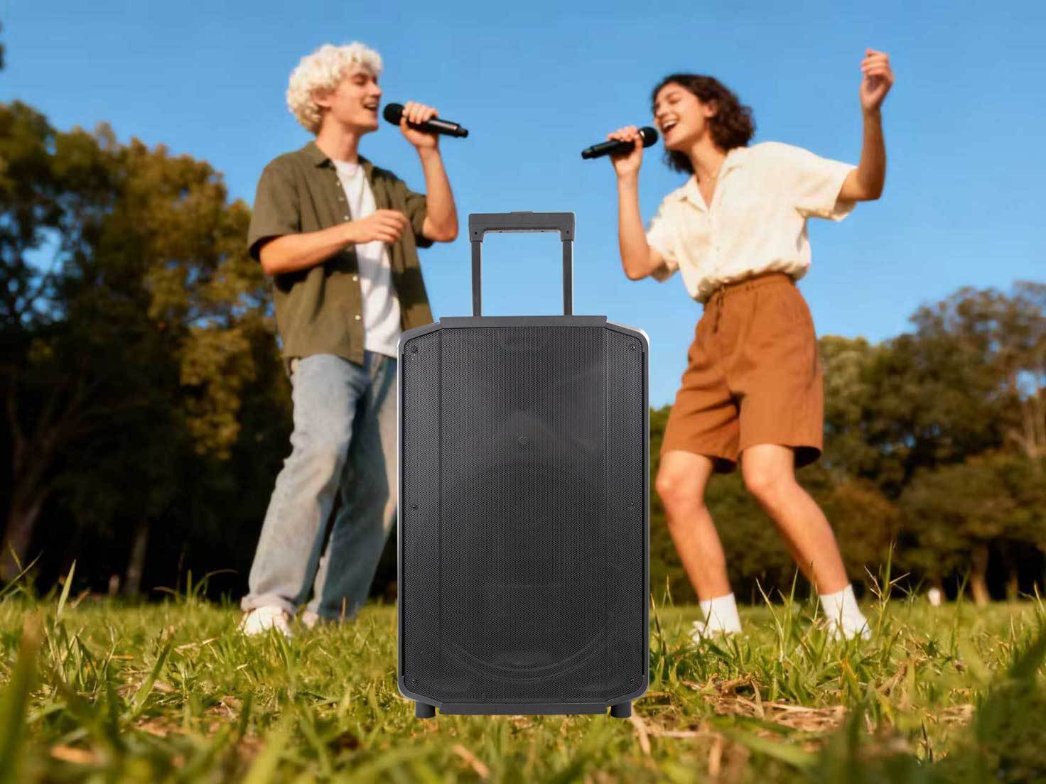 PA Subwoofer