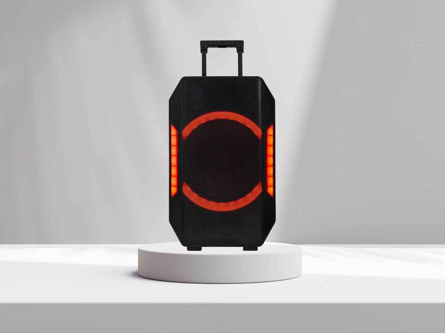 Portable PA System AS-219