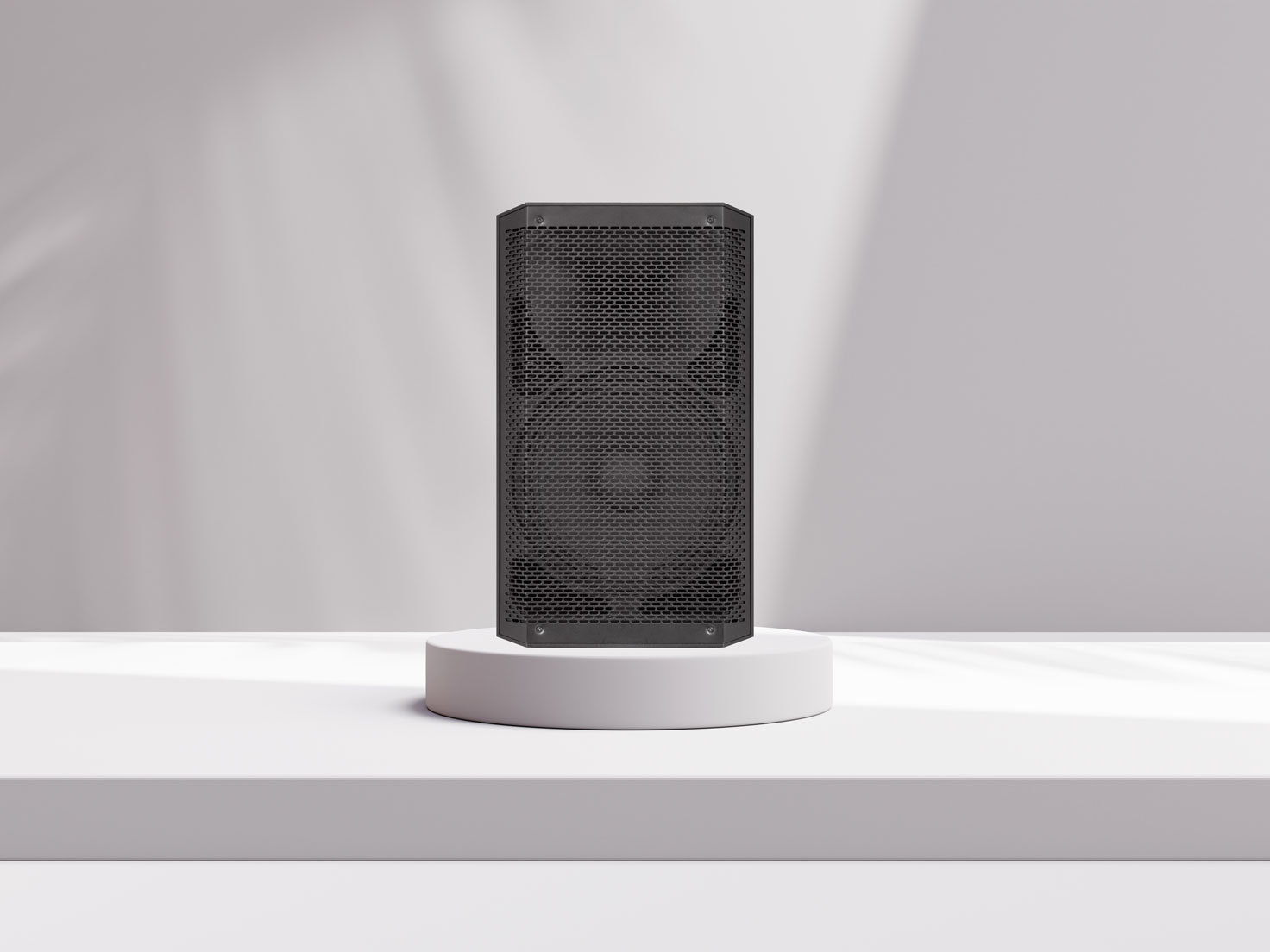 Portable PA System AS-219