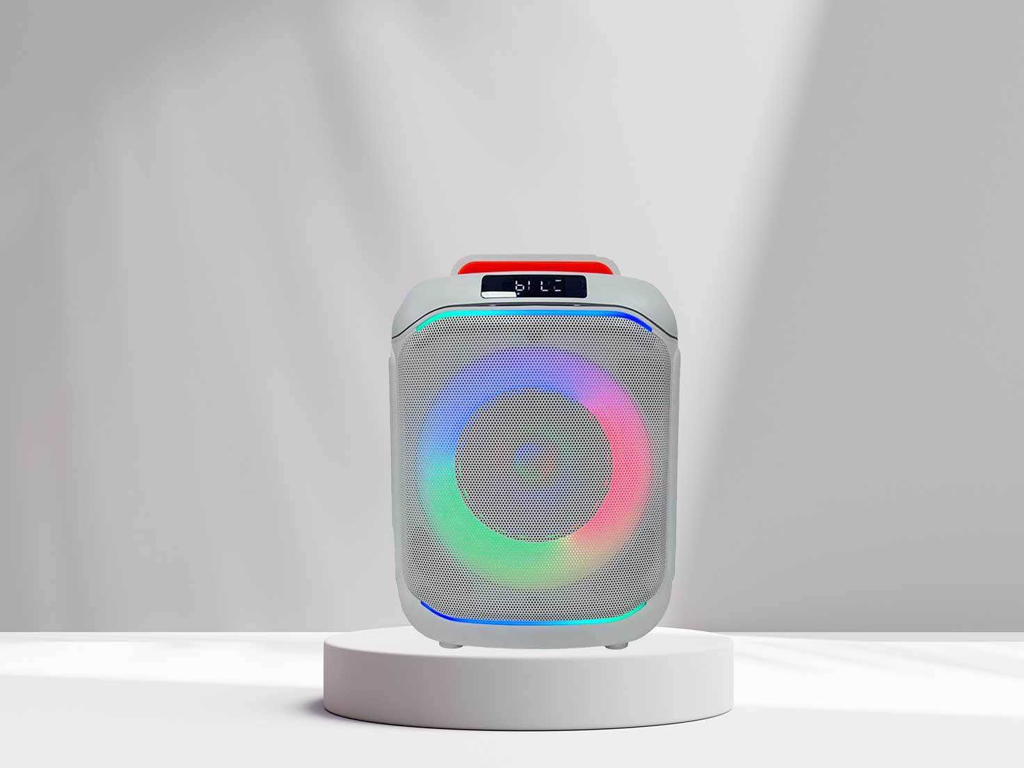 portable wireless speaker