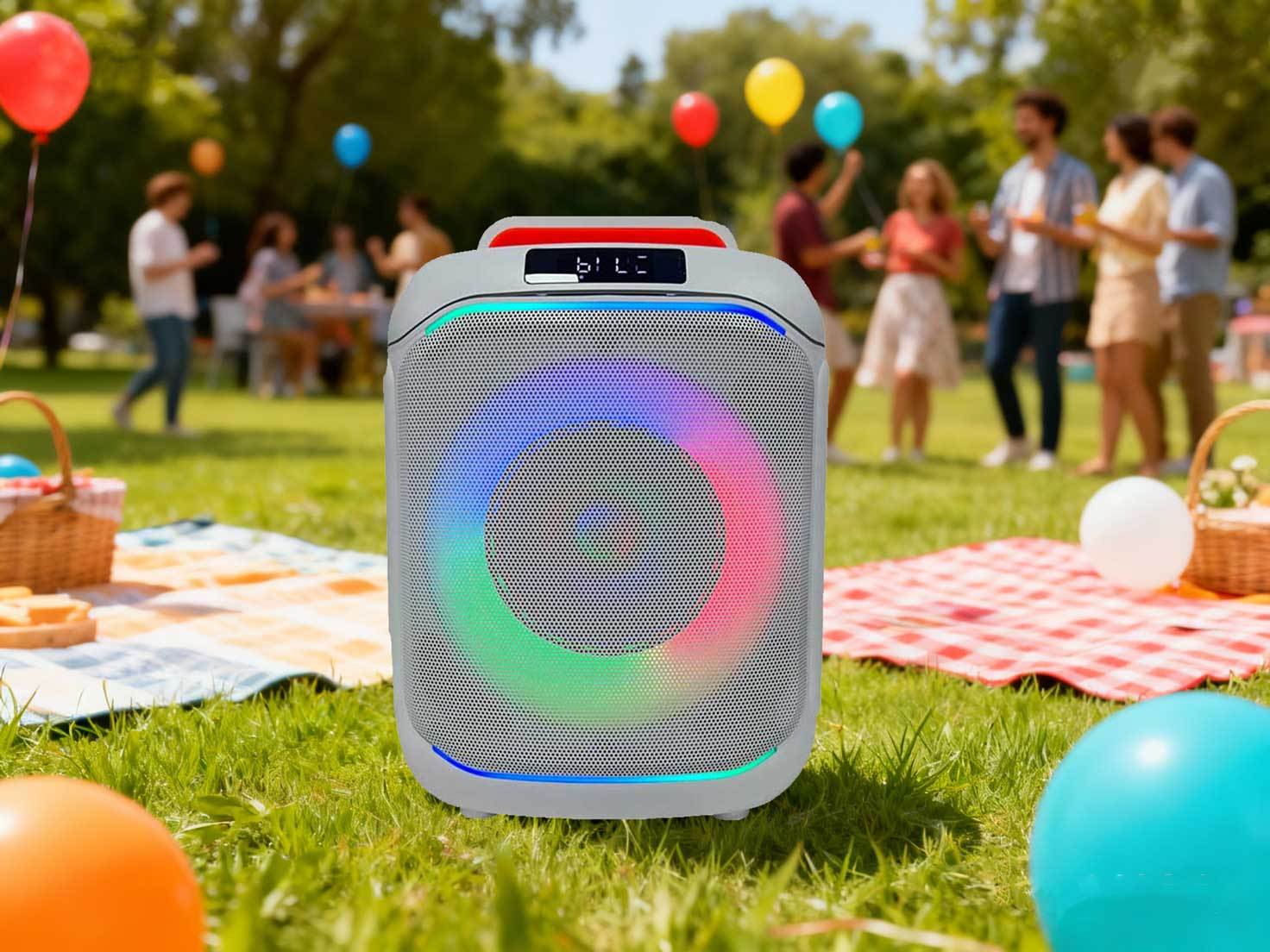 portable speaker for party