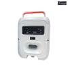 Wireless Portable Karaoke Party Box Speaker With Microphone