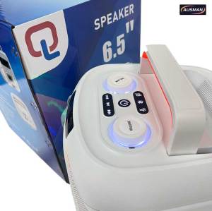Wireless Portable Karaoke Party Box Speaker With Microphone