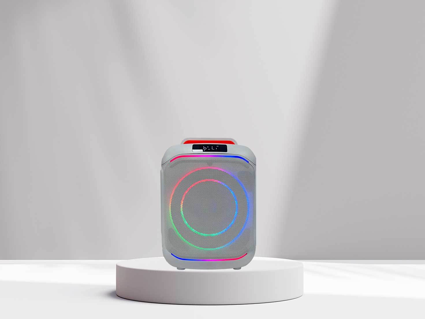 portable wireless speaker