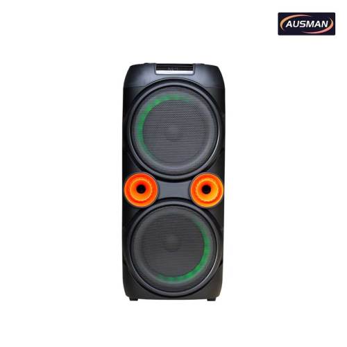 Double 10-inch Subwoofers Party Speaker Box With Two Wireless Microphones
