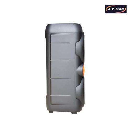 Subwoofers dobles de 10 pulgadas para fiestas con dos micrófonos inalámbricos