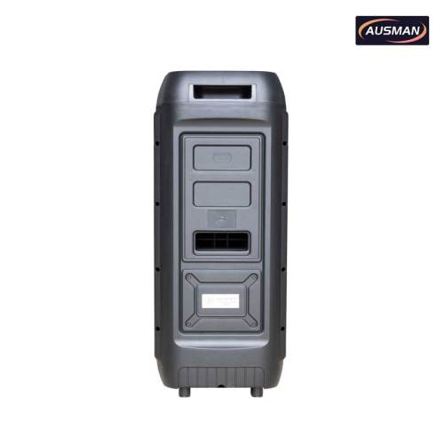 Subwoofers dobles de 10 pulgadas para fiestas con dos micrófonos inalámbricos