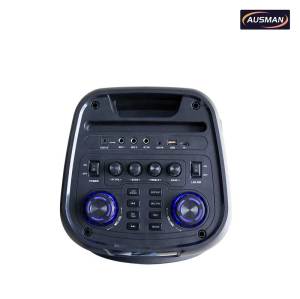 Subwoofers dobles de 10 pulgadas para fiestas con dos micrófonos inalámbricos