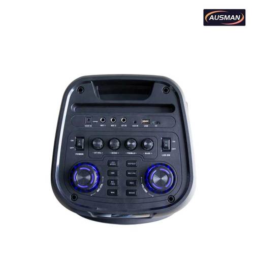 Subwoofers dobles de 10 pulgadas para fiestas con dos micrófonos inalámbricos