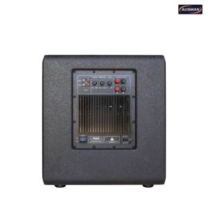 Custom Single 12 Inch Active Powered Subwoofer Box System and Compact Loudspeaker Bass With DSP