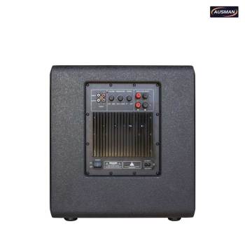 Custom Single 12 Inch Active Powered Subwoofer Box System and Compact Loudspeaker Bass With DSP