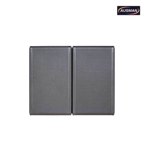 Premium 12-inch Dual PA Subwoofer Speakers Paired With an Integrated Professional PA Speaker