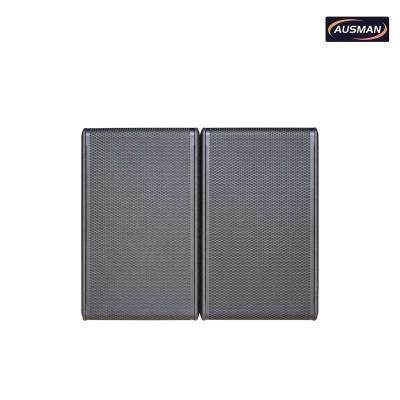 Premium 12-inch Dual PA Subwoofer Speakers Paired With an Integrated Professional PA Speaker