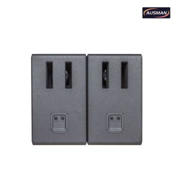 Premium 12-inch Dual PA Subwoofer Speakers Paired With an Integrated Professional PA Speaker