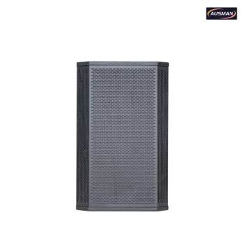 Premium 12-Inch PA Subwoofer Speakers for Professional PA Systems