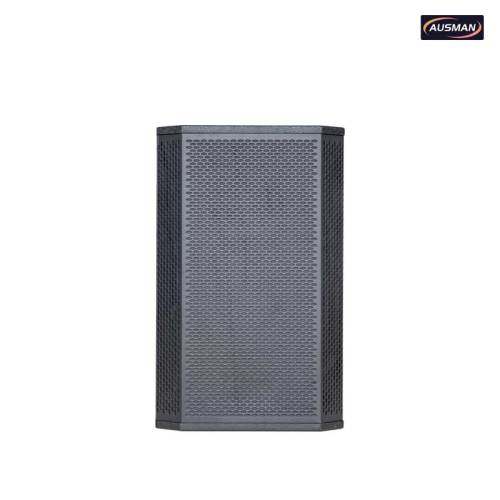 Premium 12-Inch PA Subwoofer Speakers for Professional PA Systems