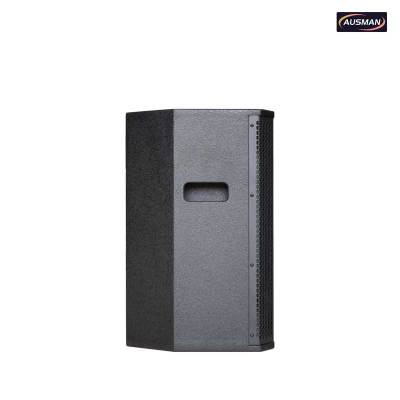 Premium 12-Inch PA Subwoofer Speakers for Professional PA Systems