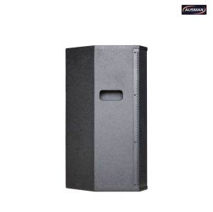 15 Inch 500W Passive Bass Speaker for PA System– Wholesale Pro Audio Speaker