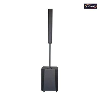 نظام صوتي عمودي محمول ومكبر صوت عمودي مزود بميكروفونين لاسلكيين