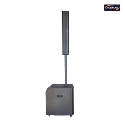Portable Column PA System & Sound Column Speaker with Dual Wireless Mics