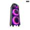 Portable Party Bluetooth Speaker with Wireless Mic & LED Lights