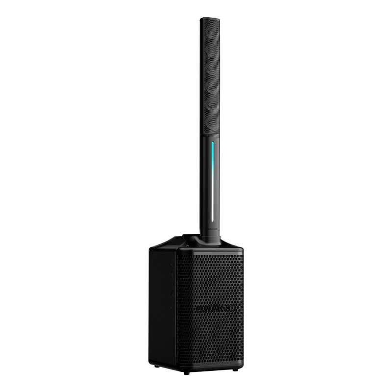 Powered Column Speaker with Dual Wireless Mics