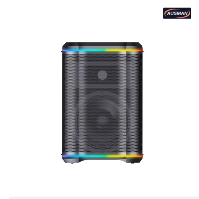 Professional Karaoke Speaker and Portable Professional Sound System for Wholesale
