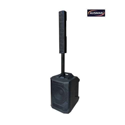 Portable Column Array PA System with Powerful 12 inch PA Subwoofer Speaker Wholesale