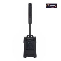 Portable Column Array PA System with Powerful 12 inch PA Subwoofer Speaker Wholesale