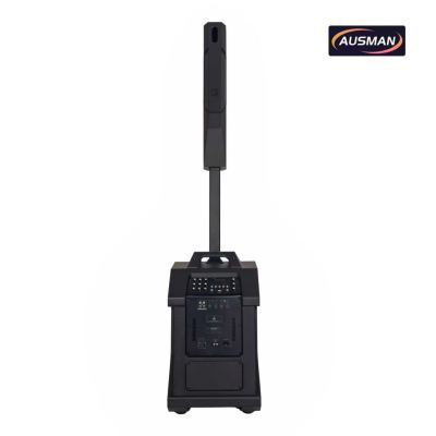 Portable Column Array PA System with Powerful 12 inch PA Subwoofer Speaker Wholesale