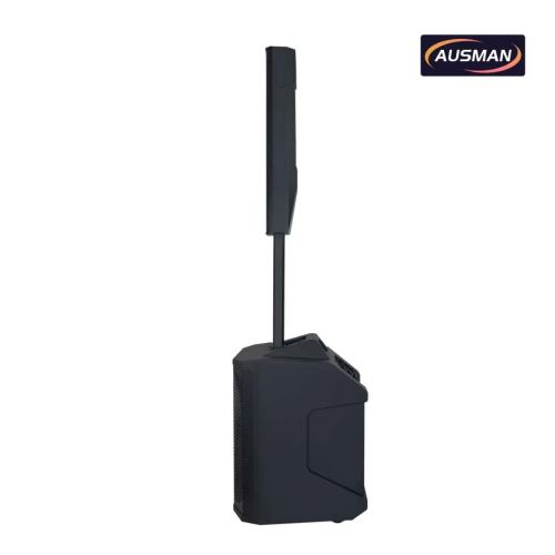 Portable Column Array PA System with Powerful 12 inch PA Subwoofer Speaker Wholesale