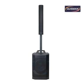 Portable Column Array PA System with Powerful 12 inch PA Subwoofer Speaker Wholesale