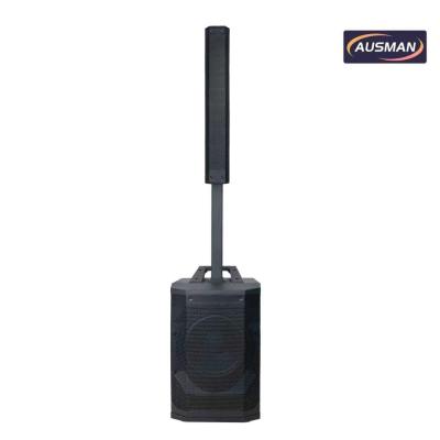 Portable Column Array PA System with Powerful 12 inch PA Subwoofer Speaker Wholesale