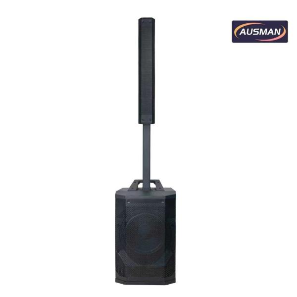 Portable Column Array PA System with Powerful 12 inch PA Subwoofer Speaker Wholesale