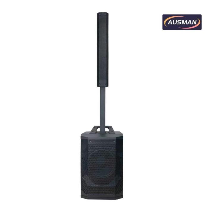 Portable Column Array PA System with Powerful 12 inch PA Subwoofer Speaker Wholesale