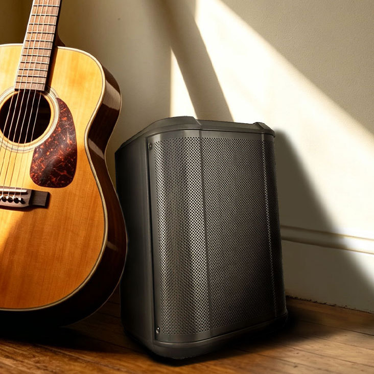 Plastic Subwoofer Box vs Wooden PA Subwoofer: How Speaker Wholesalers Should Choose